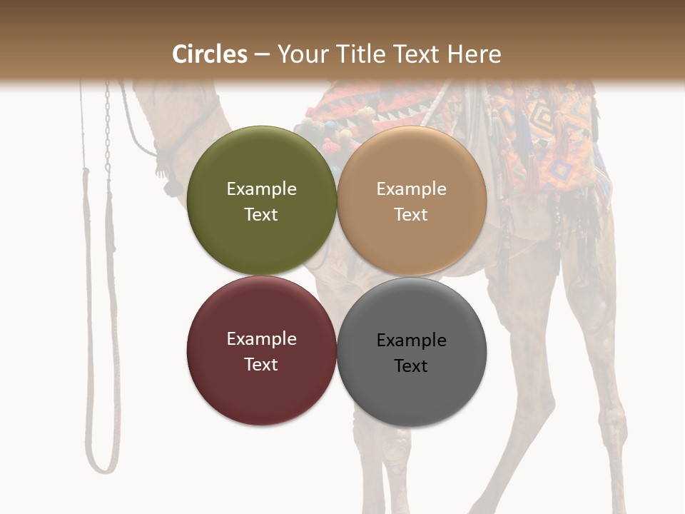 Africa Saddle Vacations PowerPoint Template