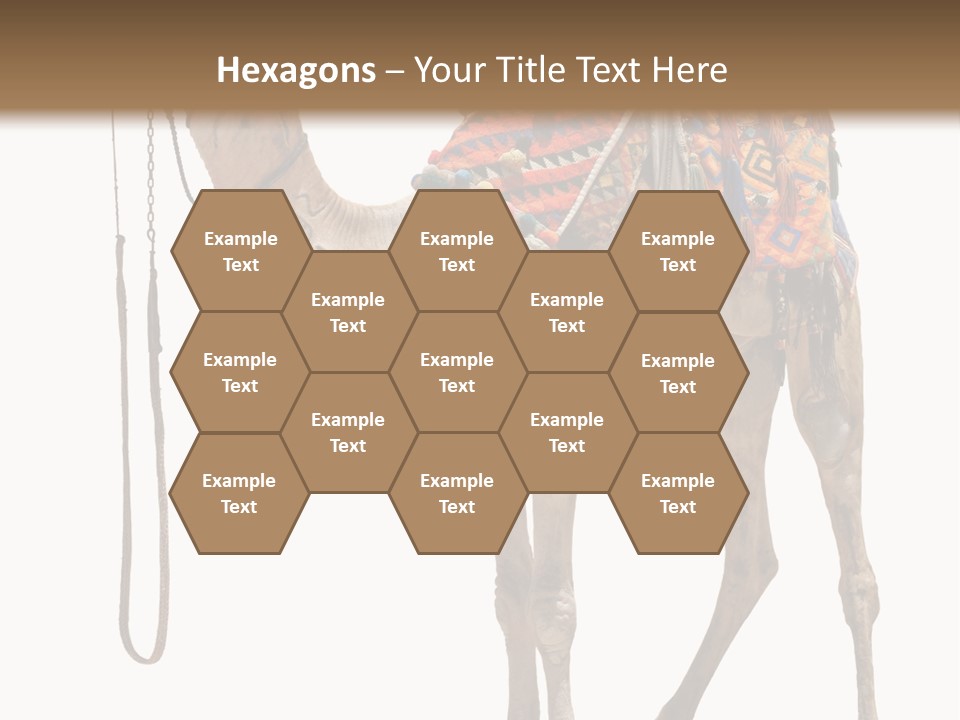 Africa Saddle Vacations PowerPoint Template