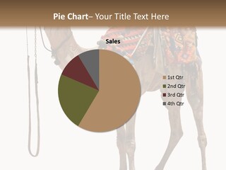 Africa Saddle Vacations PowerPoint Template