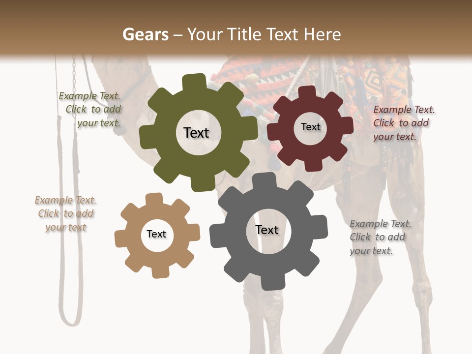 Africa Saddle Vacations PowerPoint Template