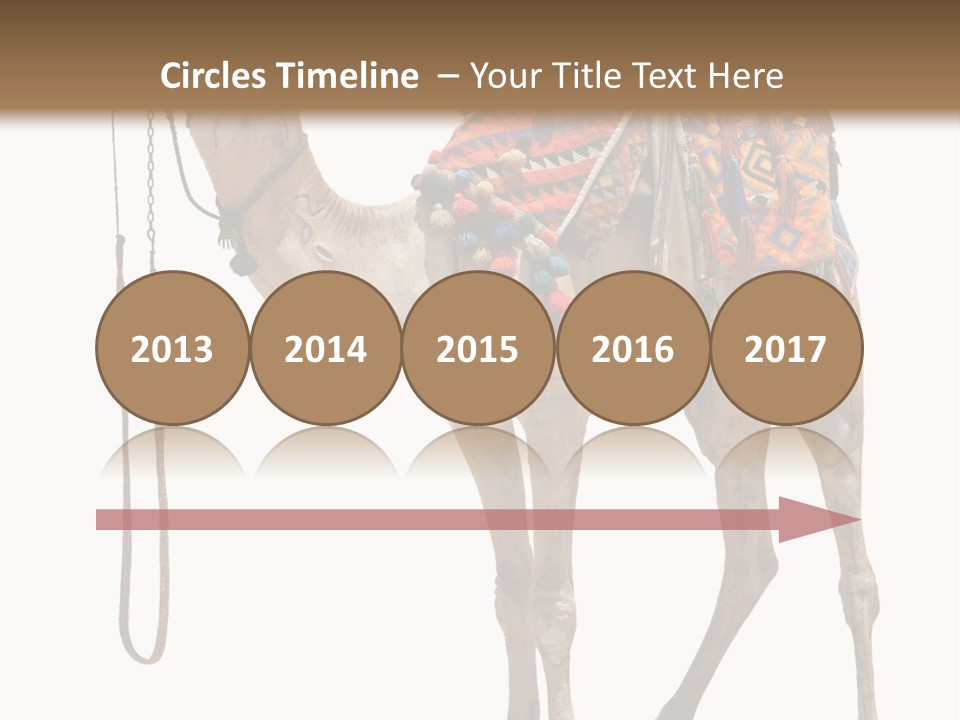 Africa Saddle Vacations PowerPoint Template