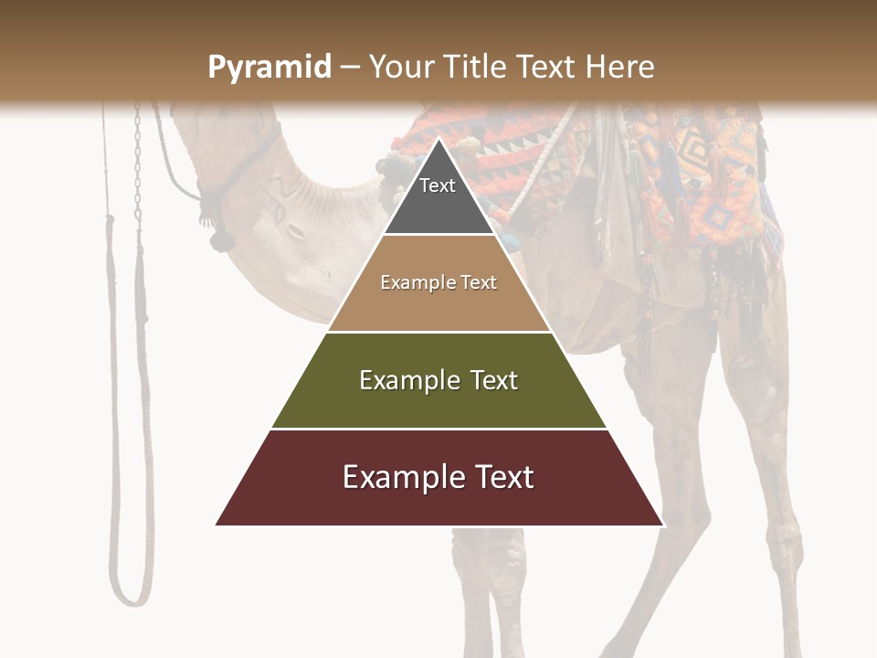 Africa Saddle Vacations PowerPoint Template