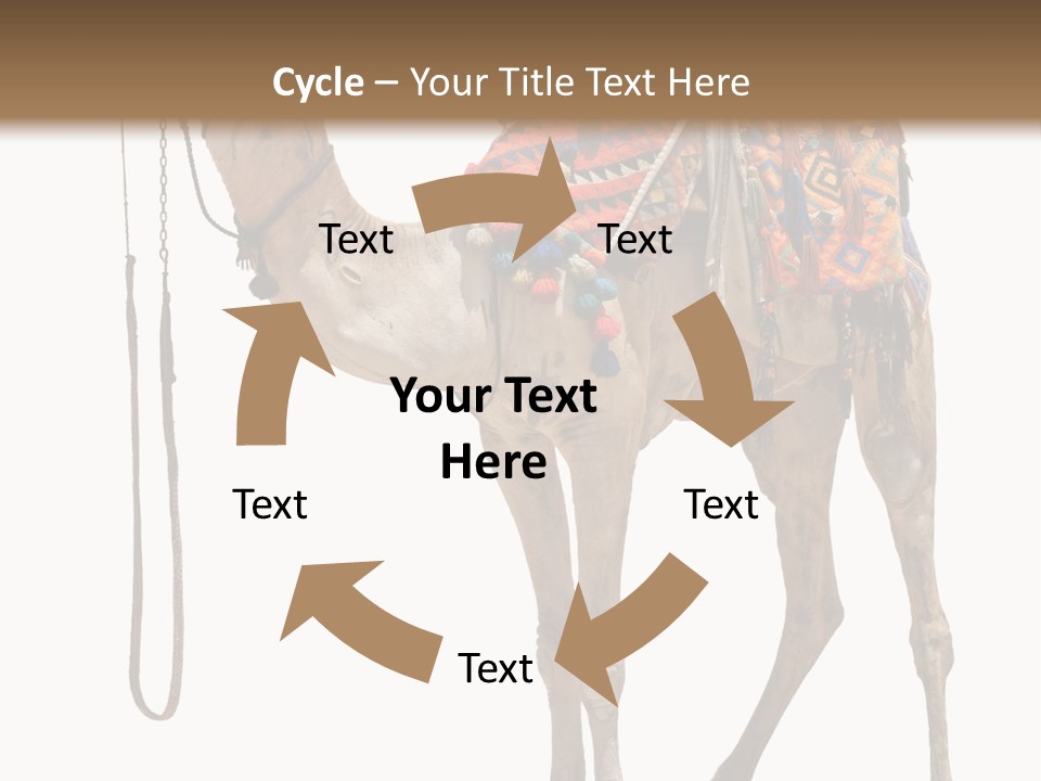 Africa Saddle Vacations PowerPoint Template