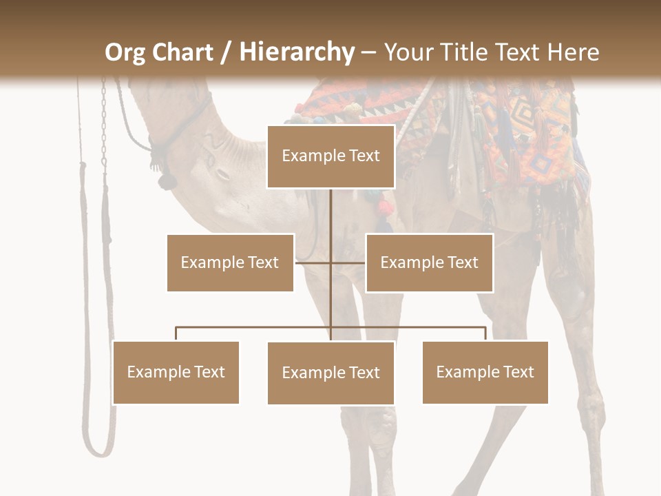 Africa Saddle Vacations PowerPoint Template