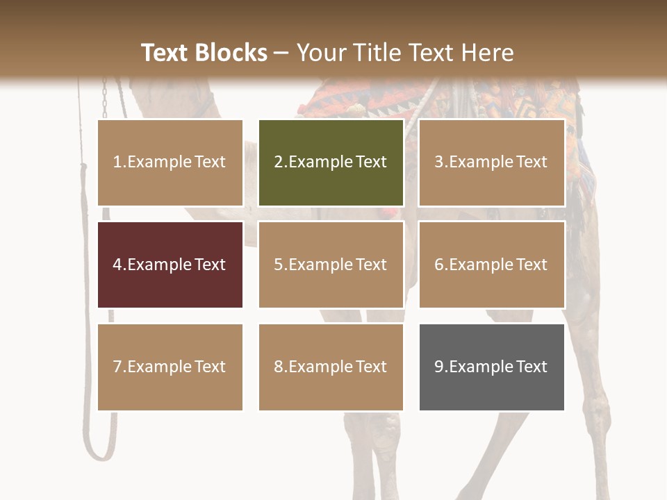 Africa Saddle Vacations PowerPoint Template