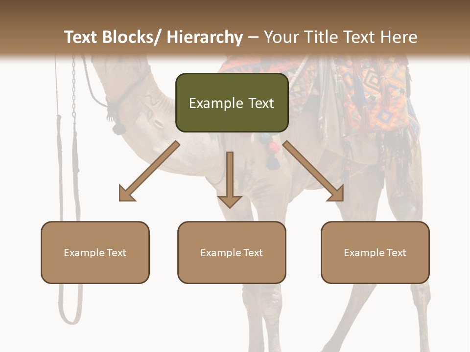 Africa Saddle Vacations PowerPoint Template