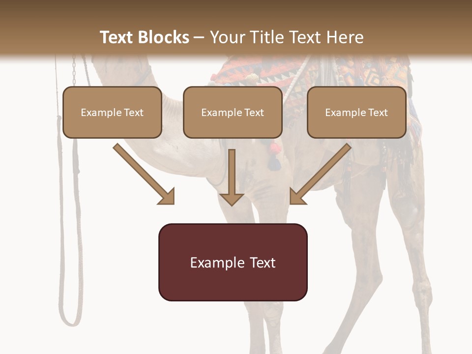 Africa Saddle Vacations PowerPoint Template