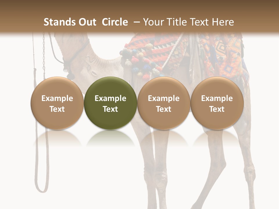 Africa Saddle Vacations PowerPoint Template