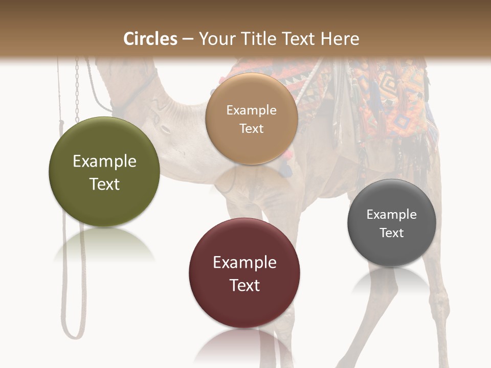 Africa Saddle Vacations PowerPoint Template