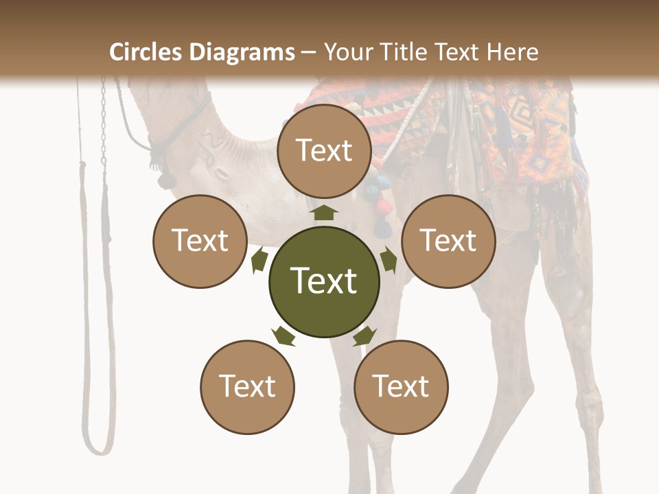 Africa Saddle Vacations PowerPoint Template