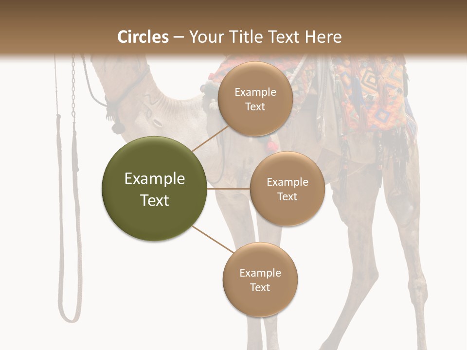 Africa Saddle Vacations PowerPoint Template