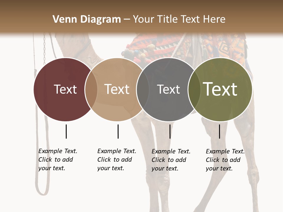 Africa Saddle Vacations PowerPoint Template