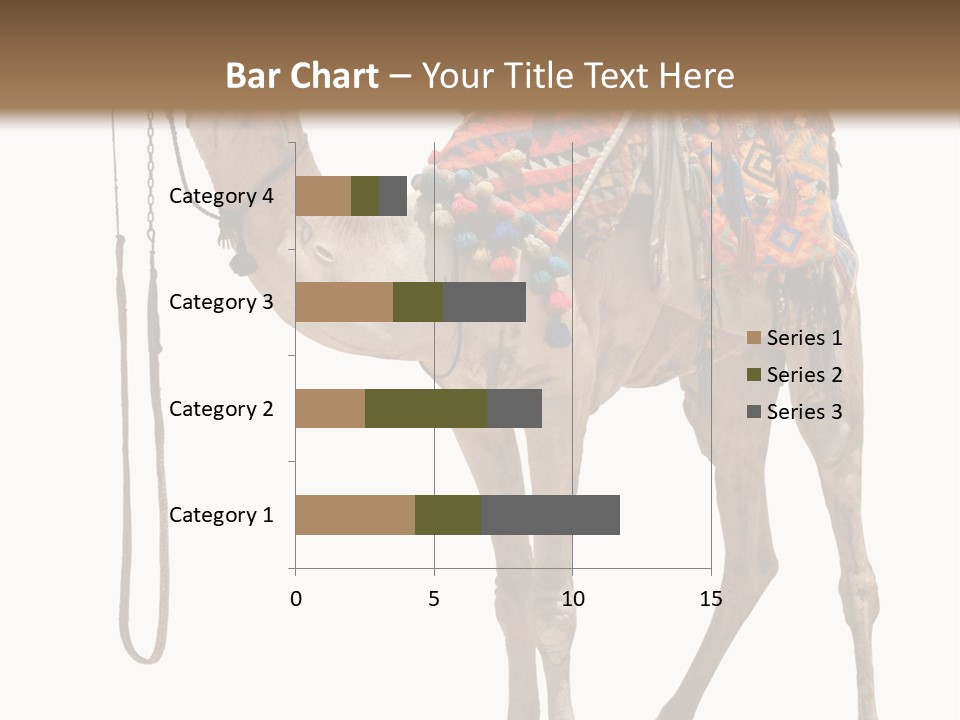 Africa Saddle Vacations PowerPoint Template