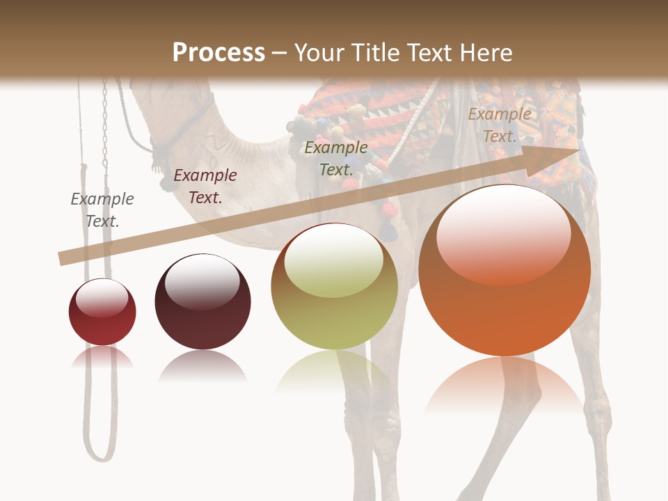 Africa Saddle Vacations PowerPoint Template