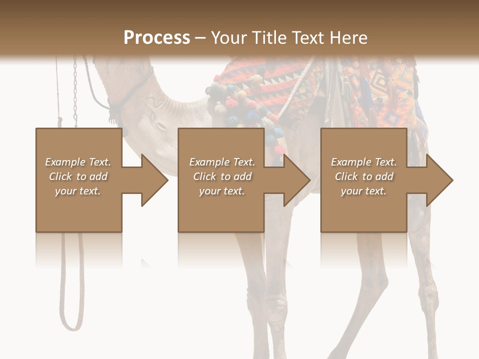 Africa Saddle Vacations PowerPoint Template