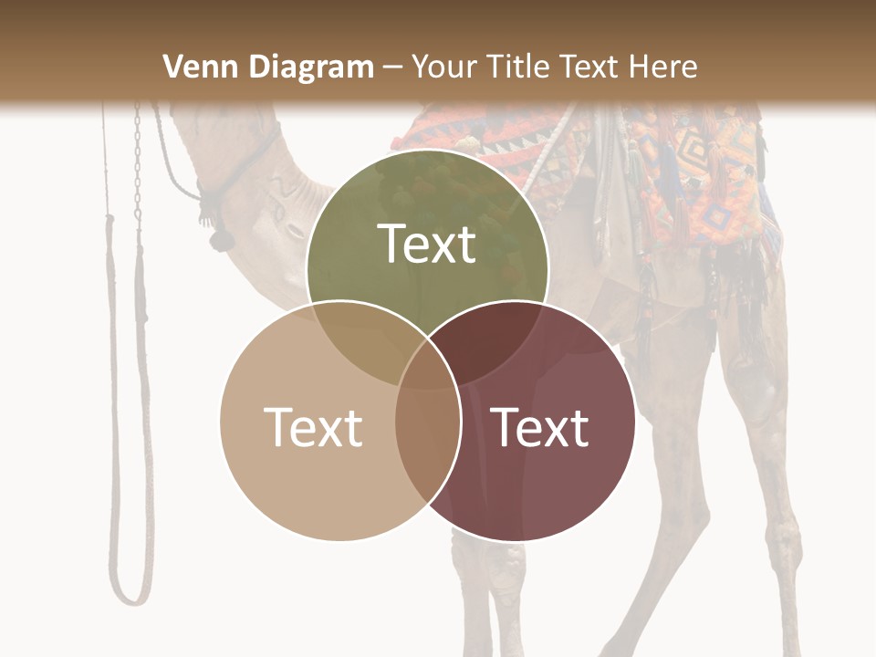 Africa Saddle Vacations PowerPoint Template