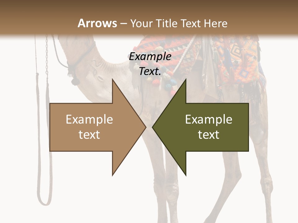 Africa Saddle Vacations PowerPoint Template