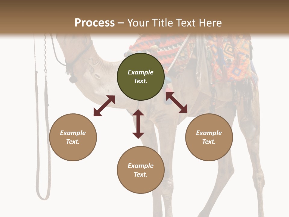 Africa Saddle Vacations PowerPoint Template