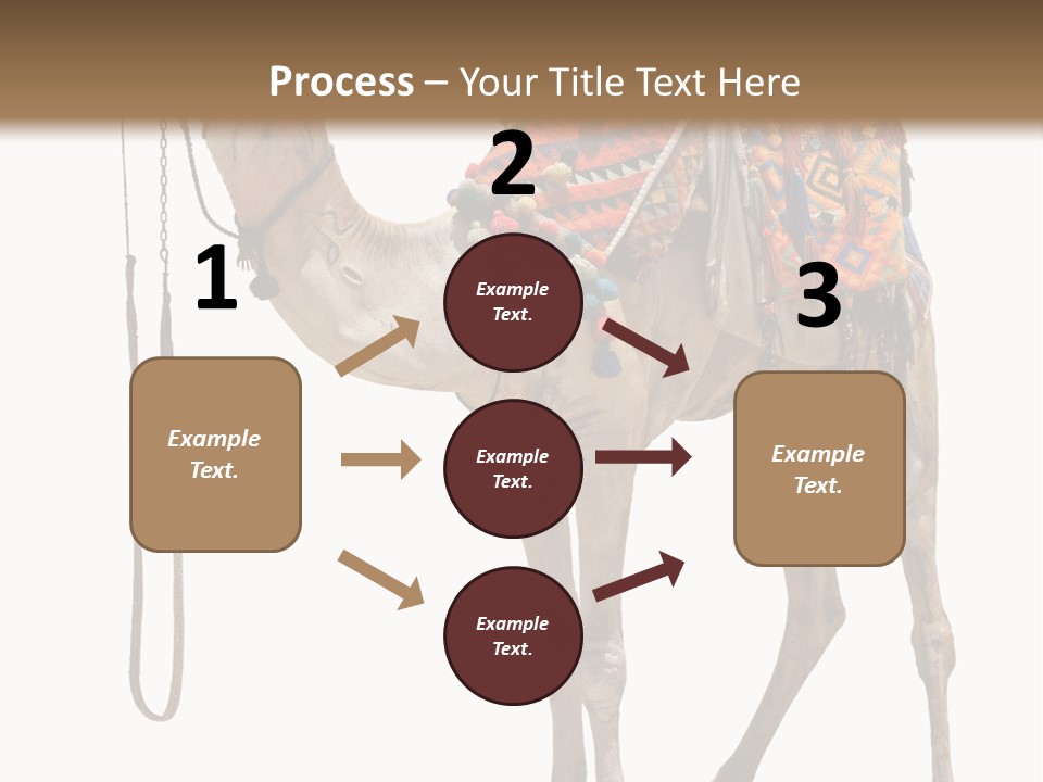 Africa Saddle Vacations PowerPoint Template