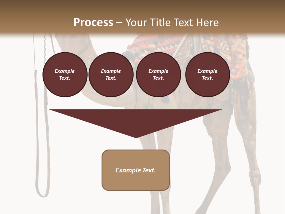 Africa Saddle Vacations PowerPoint Template