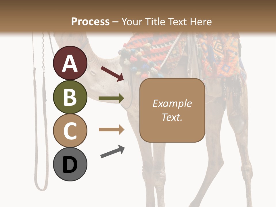 Africa Saddle Vacations PowerPoint Template