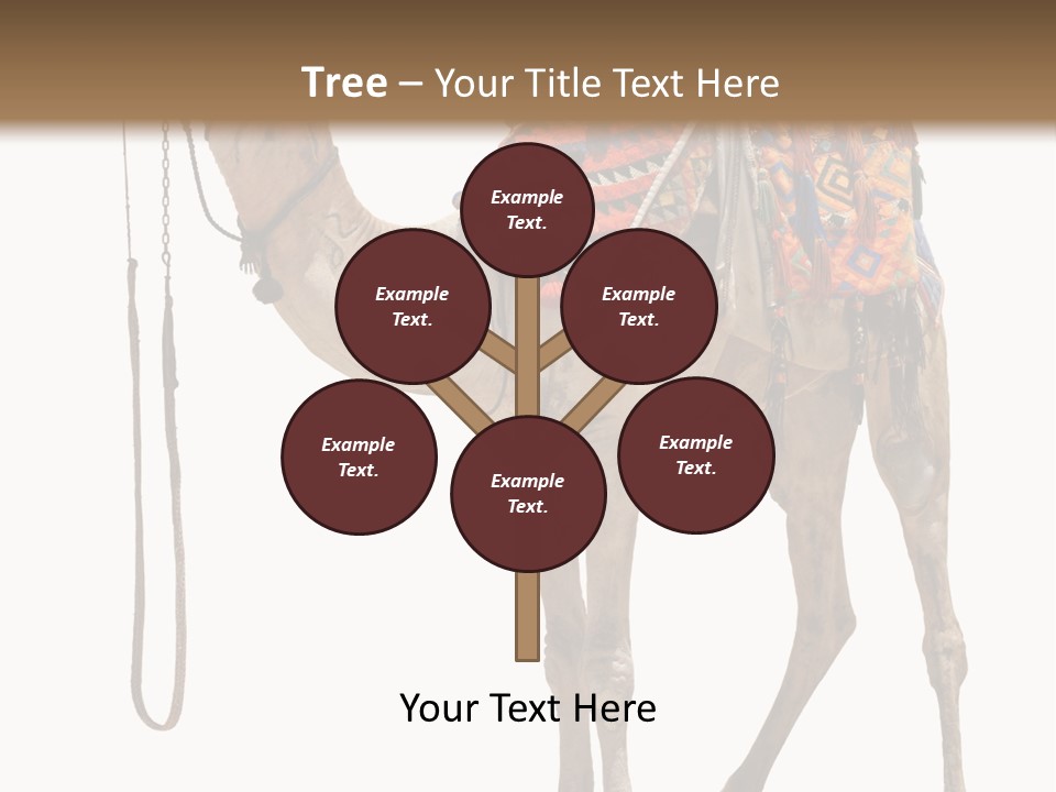 Africa Saddle Vacations PowerPoint Template