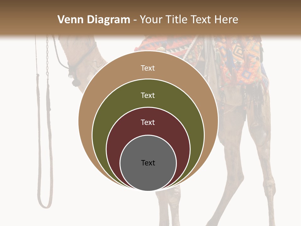 Africa Saddle Vacations PowerPoint Template