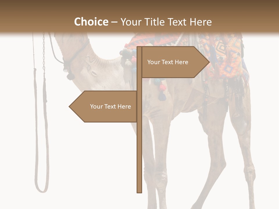 Africa Saddle Vacations PowerPoint Template