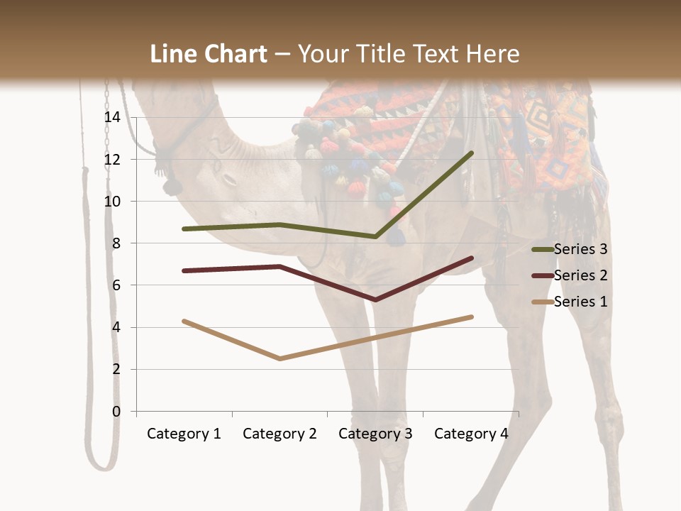 Africa Saddle Vacations PowerPoint Template