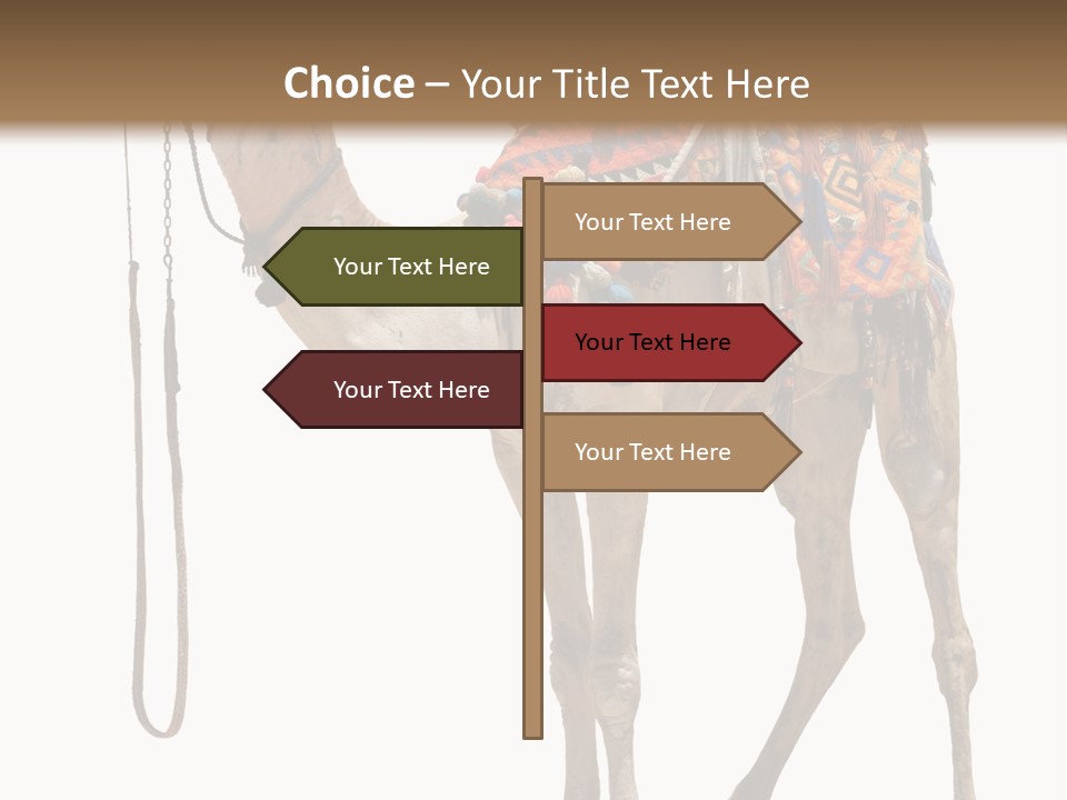 Africa Saddle Vacations PowerPoint Template