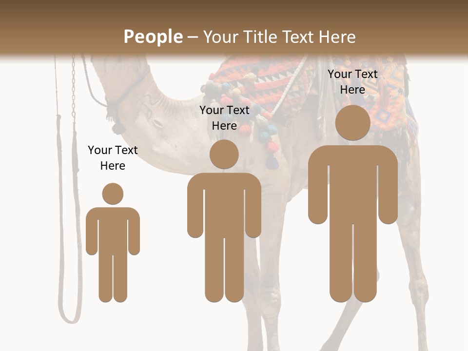 Africa Saddle Vacations PowerPoint Template