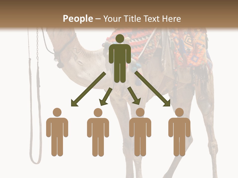 Africa Saddle Vacations PowerPoint Template