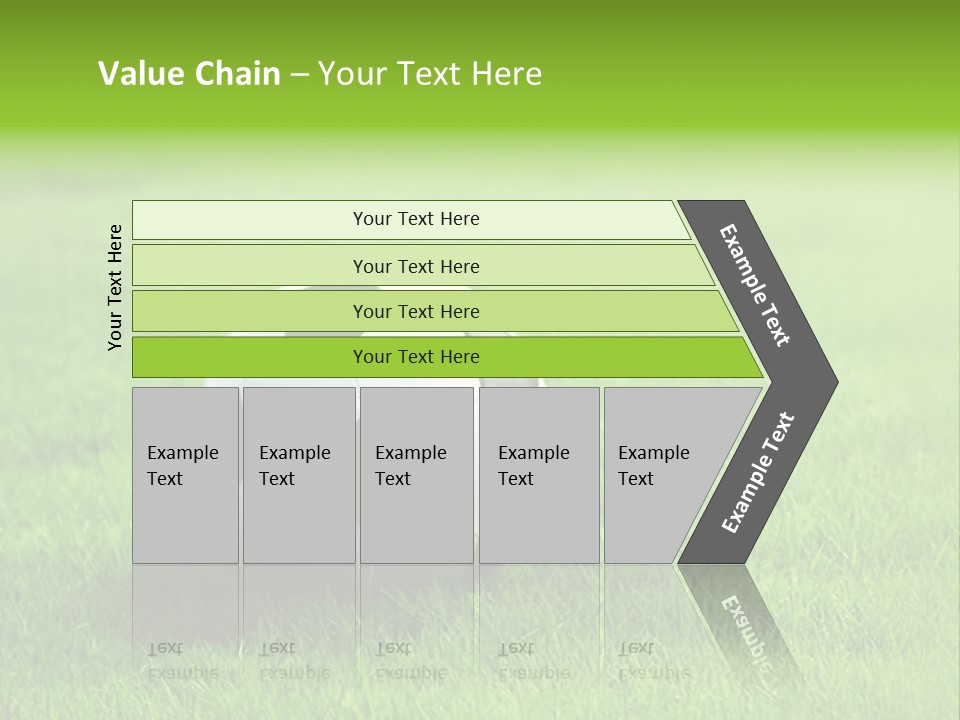 Training Play Field PowerPoint Template