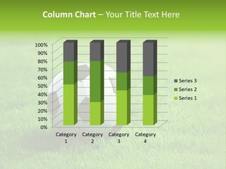 Training Play Field PowerPoint Template