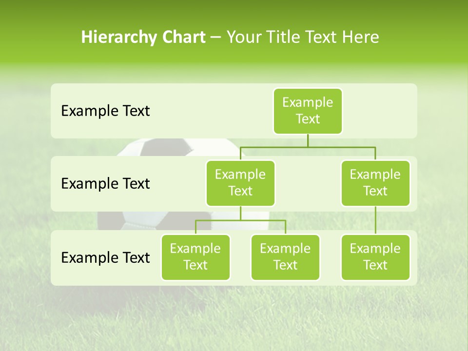 Training Play Field PowerPoint Template