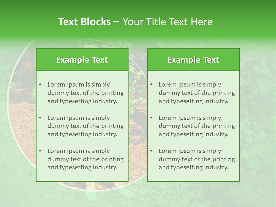 Marine Shoot Colt PowerPoint Template