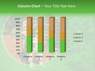 Marine Shoot Colt PowerPoint Template