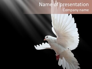 Building View Religion PowerPoint Template