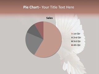 Building View Religion PowerPoint Template