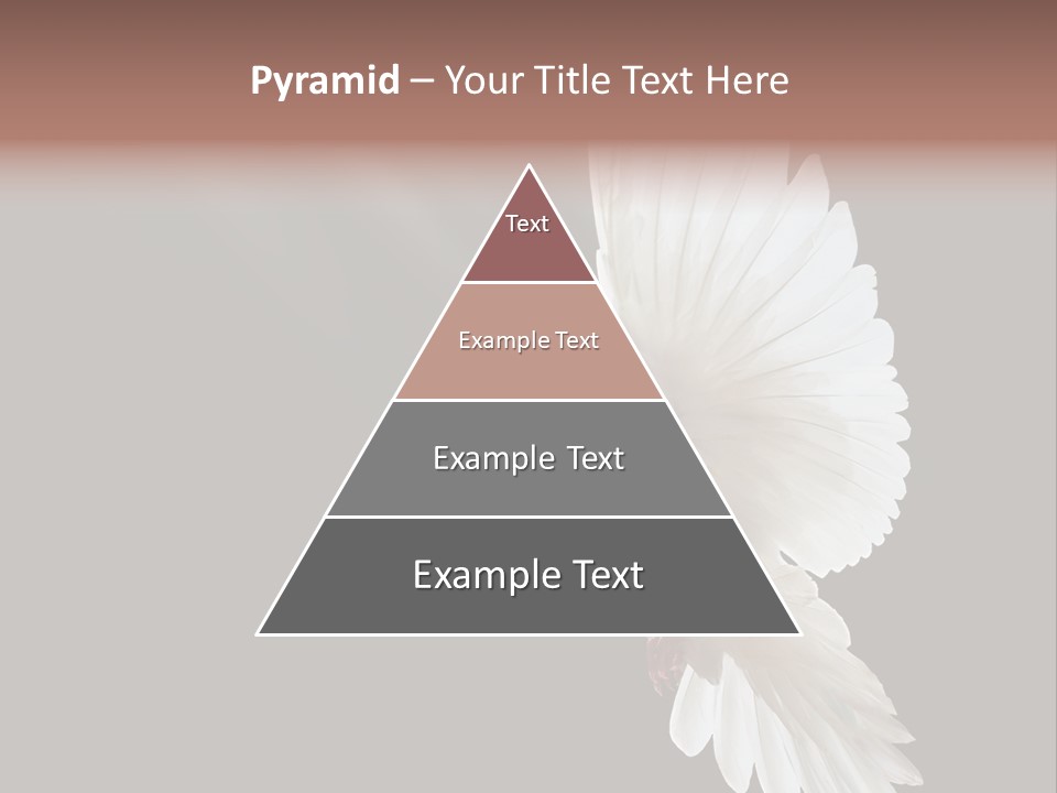 Building View Religion PowerPoint Template