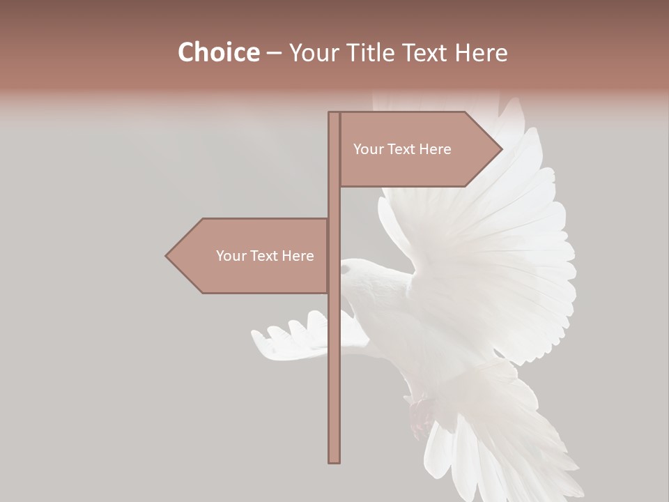 Building View Religion PowerPoint Template