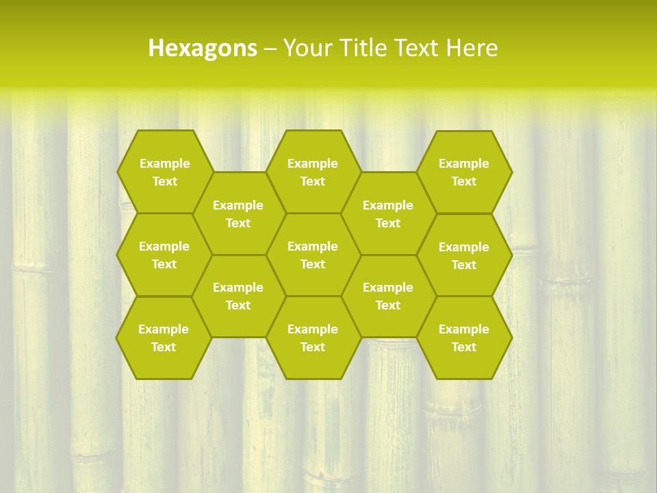 Fence Bind Zen PowerPoint Template