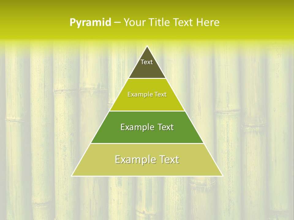 Fence Bind Zen PowerPoint Template
