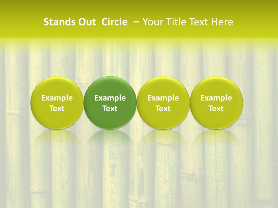 Fence Bind Zen PowerPoint Template