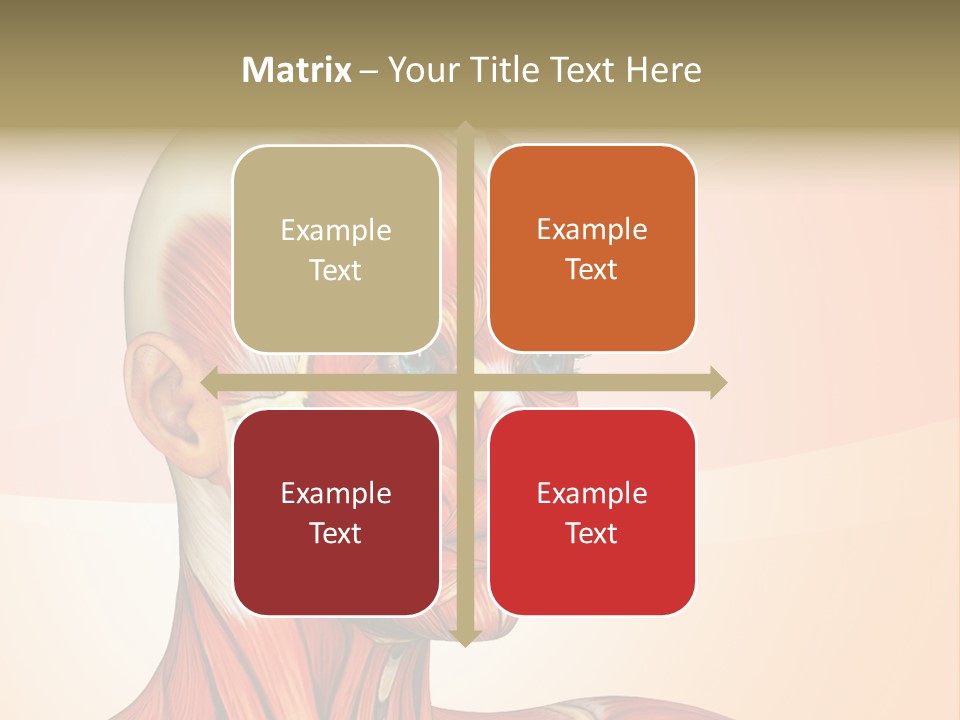 Biology Doctor Human PowerPoint Template