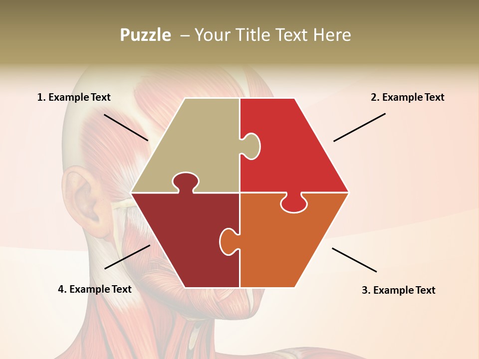 Biology Doctor Human PowerPoint Template