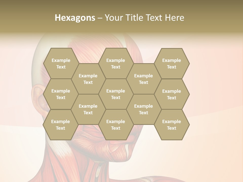 Biology Doctor Human PowerPoint Template