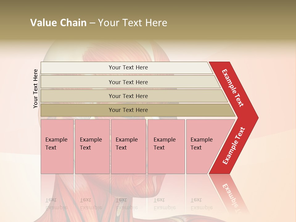 Biology Doctor Human PowerPoint Template