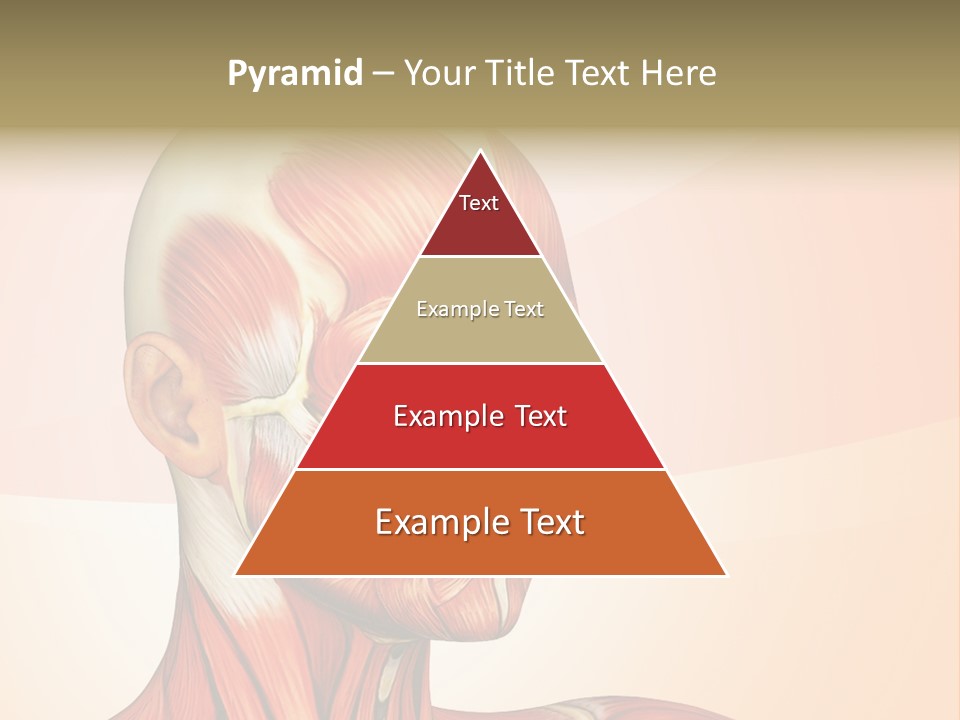 Biology Doctor Human PowerPoint Template