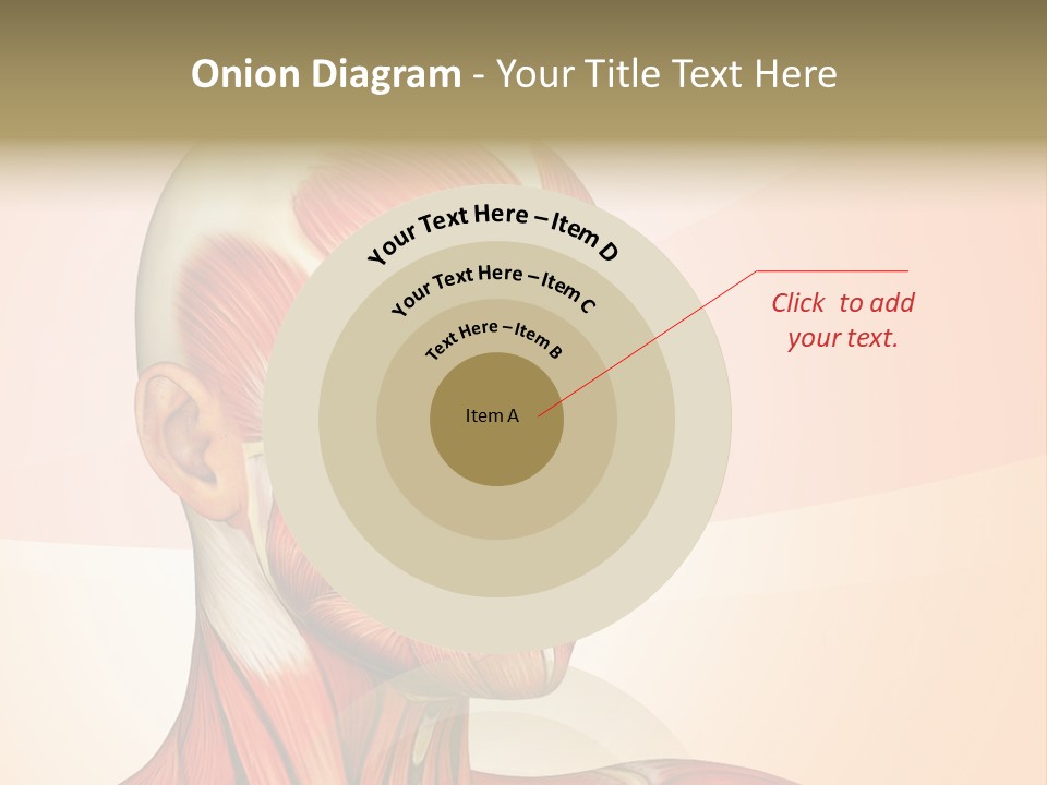 Biology Doctor Human PowerPoint Template